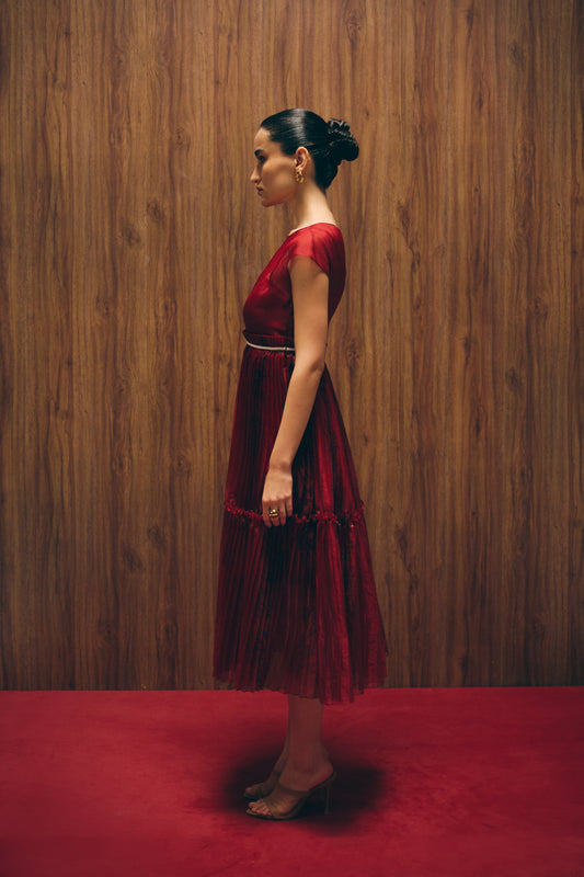 Carmine red dress image 1