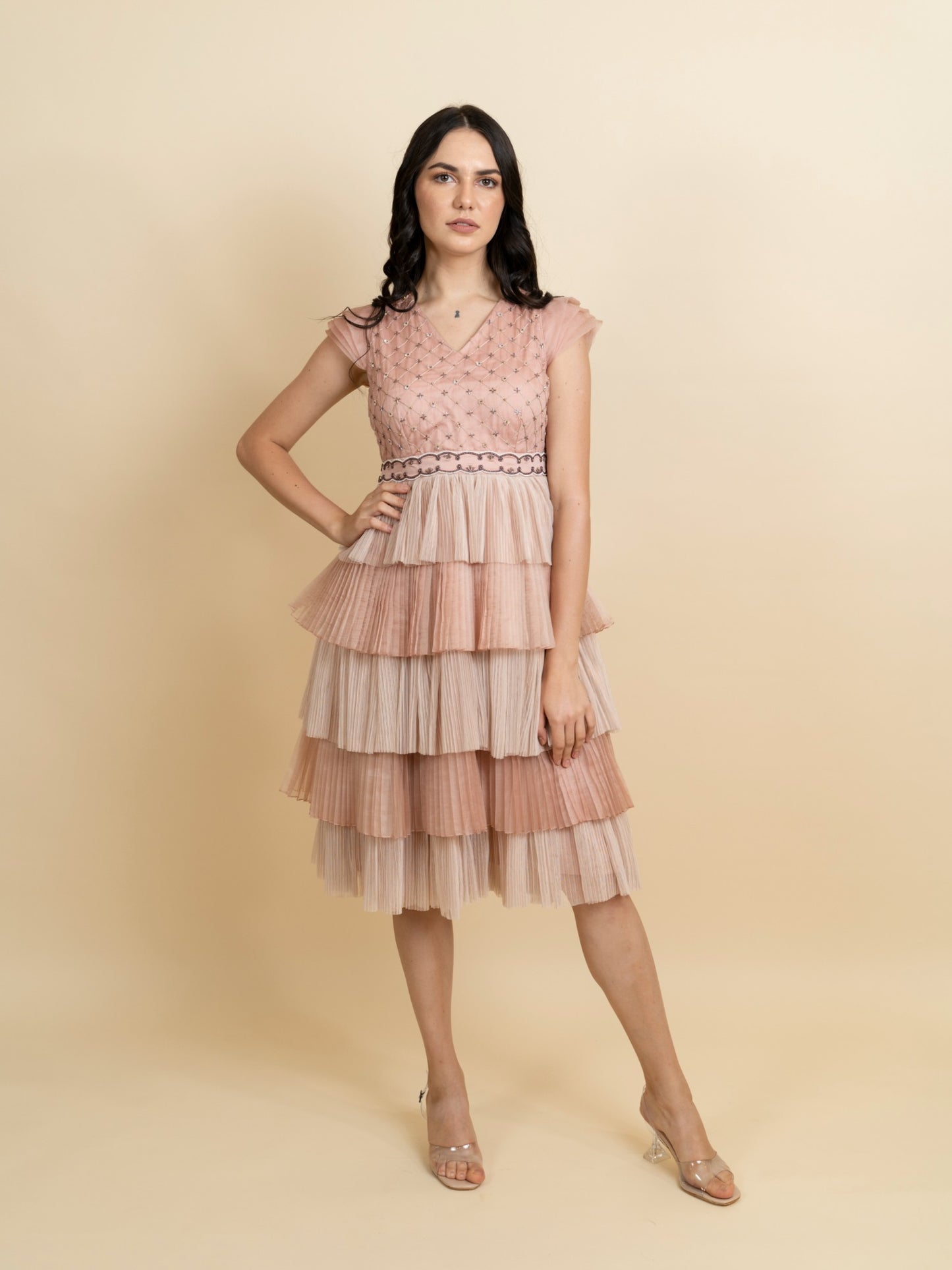 Multi layered pleated dress with fully embroidered bodice. image 4