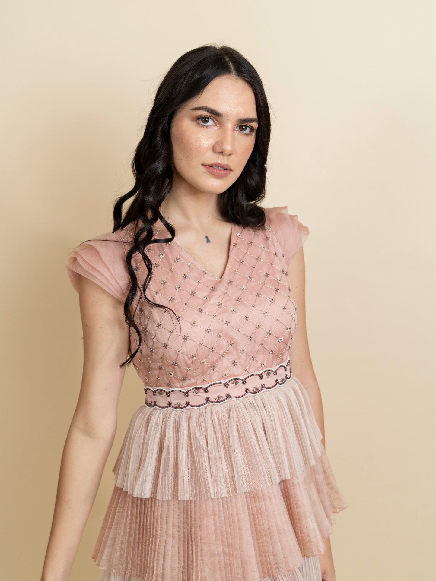 Multi layered pleated dress with fully embroidered bodice. image 0