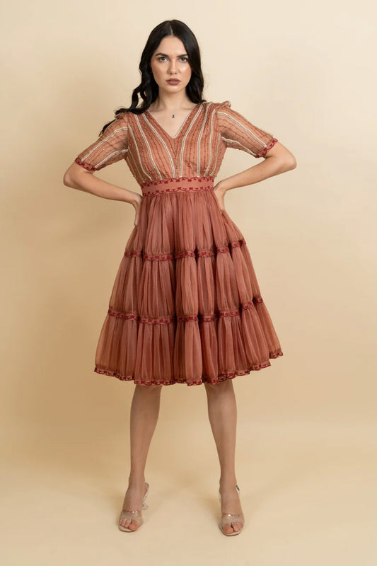 Golden galaxy cinnamon embroidery in narrow pleated dress.