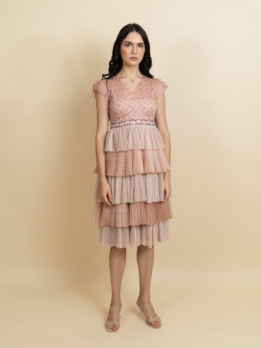 Multi layered pleated dress with fully embroidered bodice. image 1