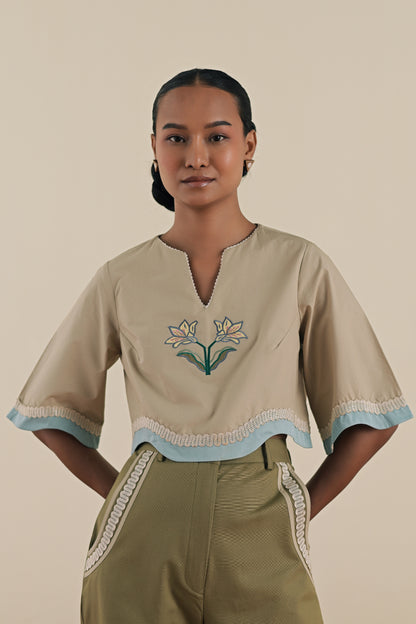 The crop top image 0