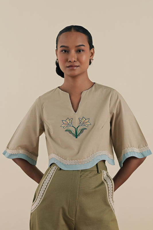 The crop top image 0