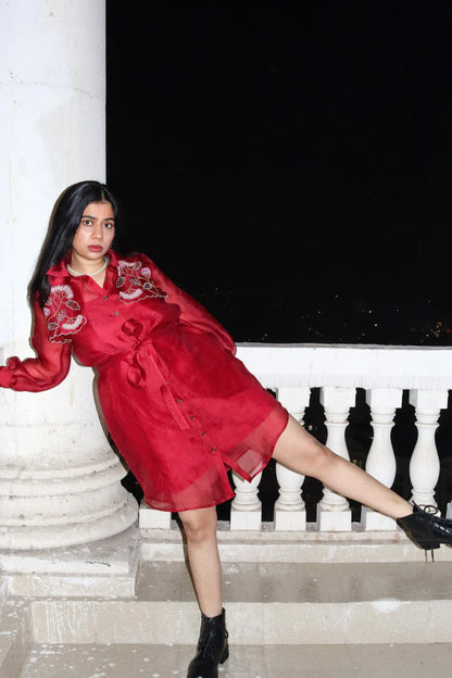 Ruby red trench dress