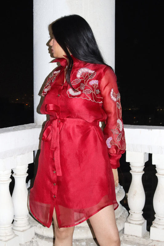 Ruby red trench dress