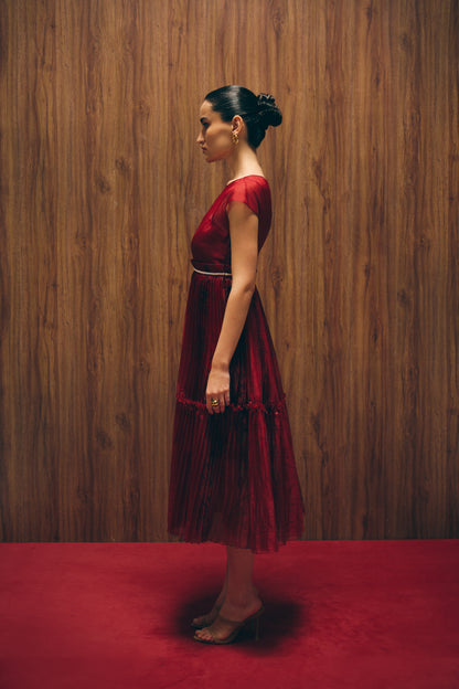 Carmine red dress image 1