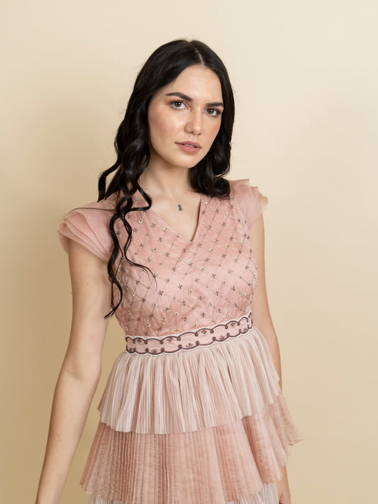 Multi layered pleated dress with fully embroidered bodice. image 0