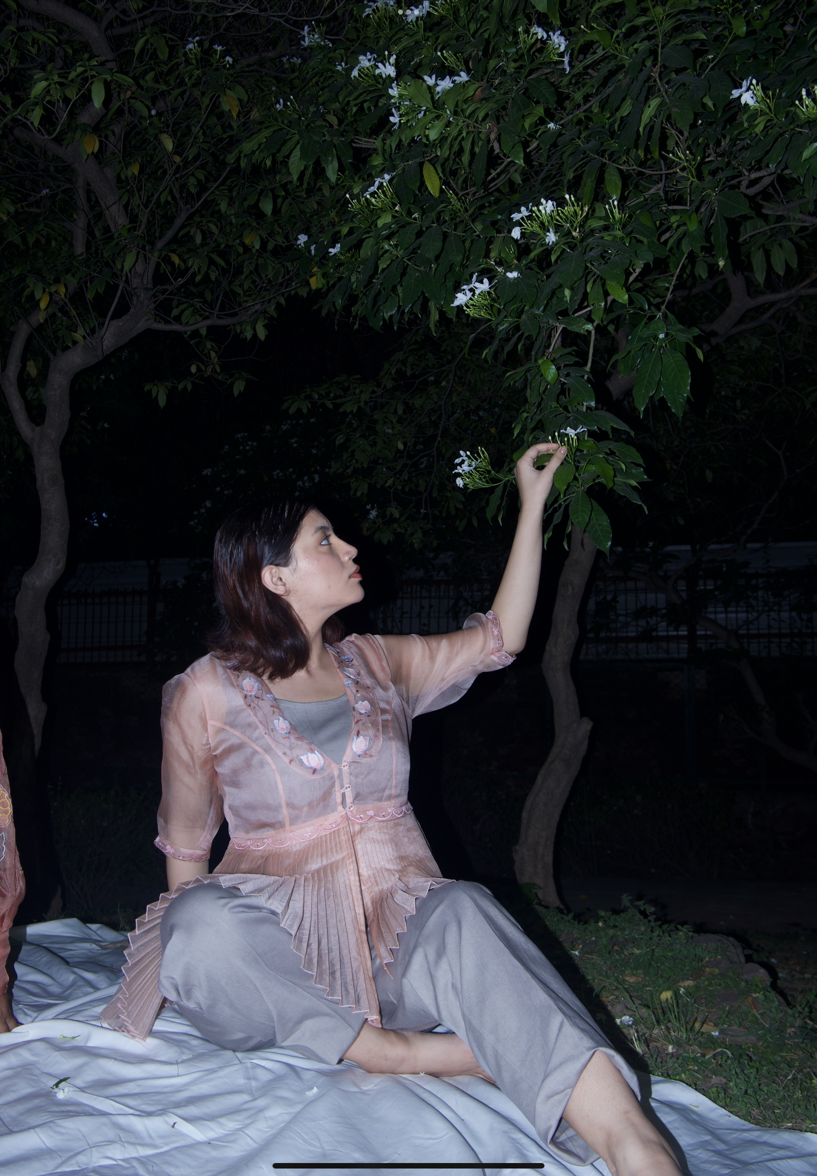 Tea rose peplum set  image 2