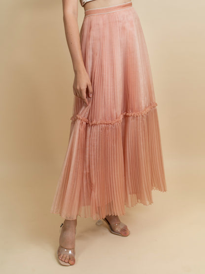 Embroidered top with pleated skirt set. image 2
