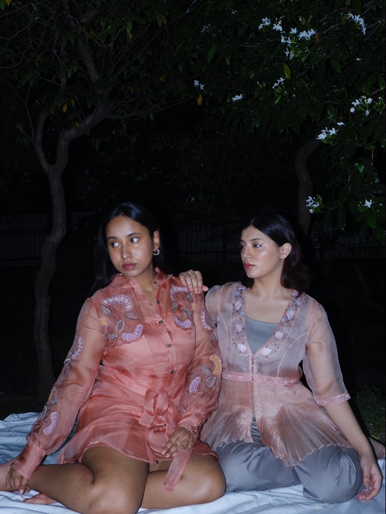 Grape embroidered dress (Cinnamon). image 2